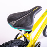 BEANY ZERO 24