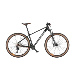 Hardtail