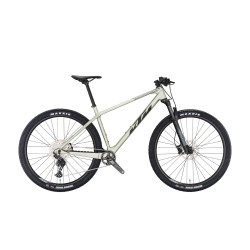 Hardtail