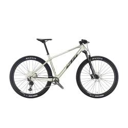 Hardtail